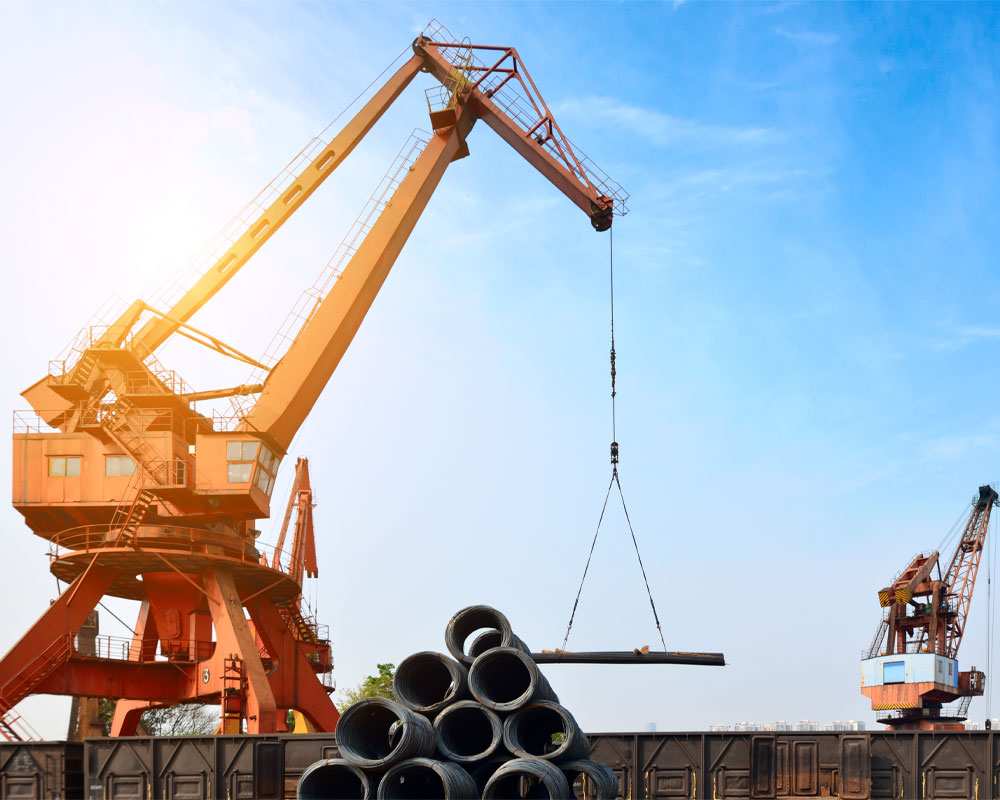 Crane-Seaport at Seven Seas