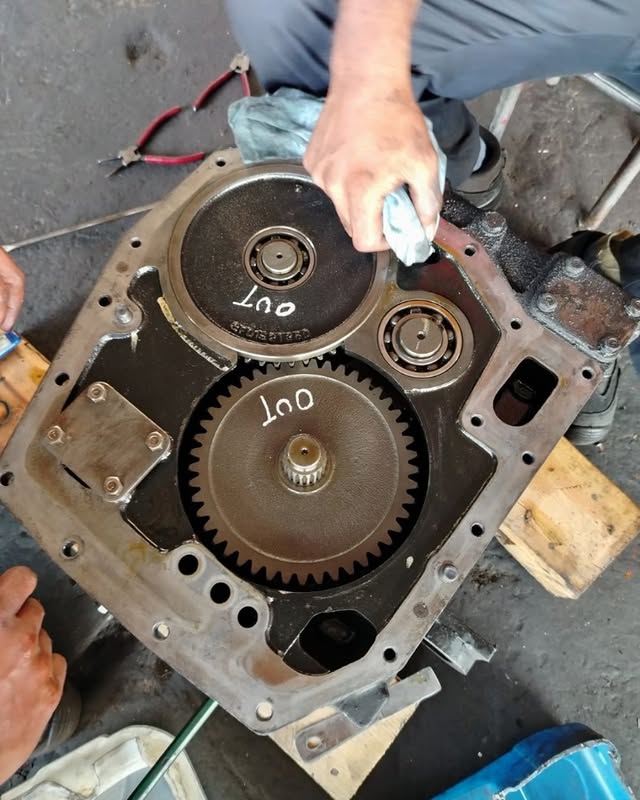 IMG_20250318_145603_983 (1)