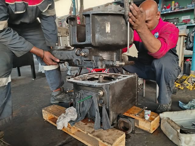 IMG_20250318_145604_398 (1)