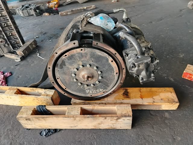 IMG_20250318_145604_872 (1)